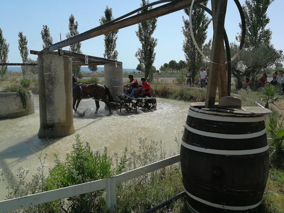 3ª Fase y Final del Campeonato Navarra de Enganches Indoor en La Pinturita de Olite